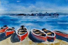Boote-am-Chiemsee