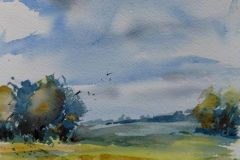 Wiesenlandschaft